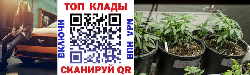 Купить закладку Cocaine  Меф мяу мяу  Бутират  Конопля  Лобня