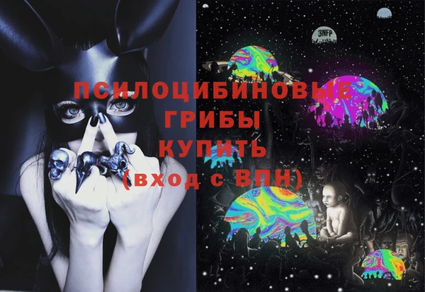 молекула духа Зеленодольск