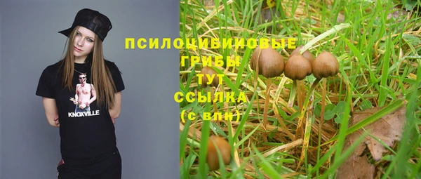 молекула духа Зеленодольск