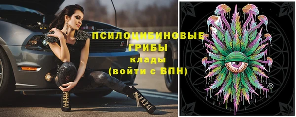 spice Зерноград